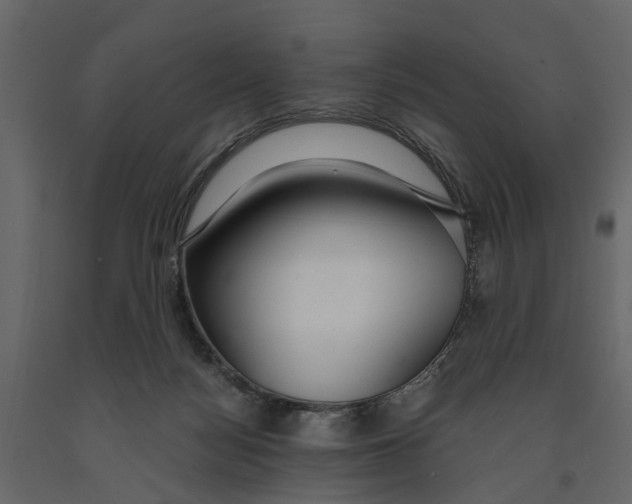 X0000090920172200708271031