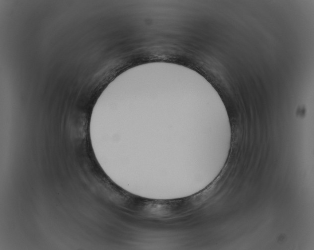 X0000090920174200708271031