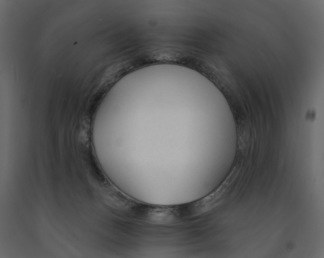 X0000090920175200708271031