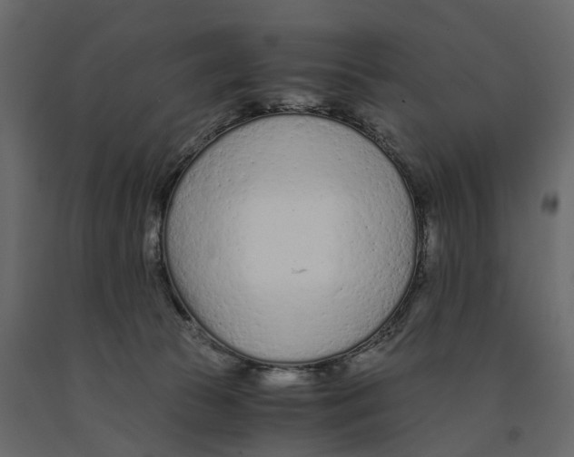 X0000090920177200708271031