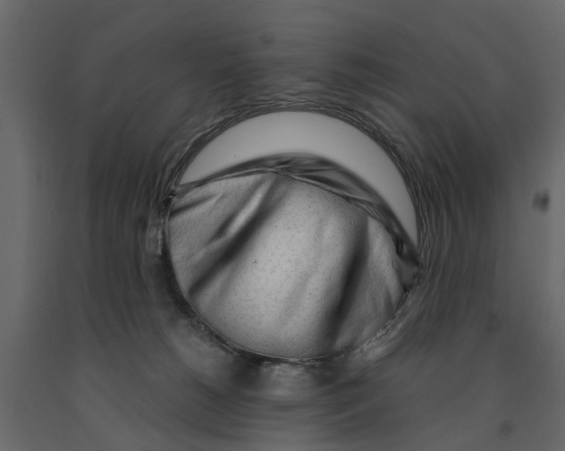 X0000090920180200708271031