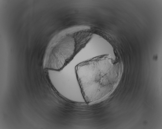 X0000090920181200708271031