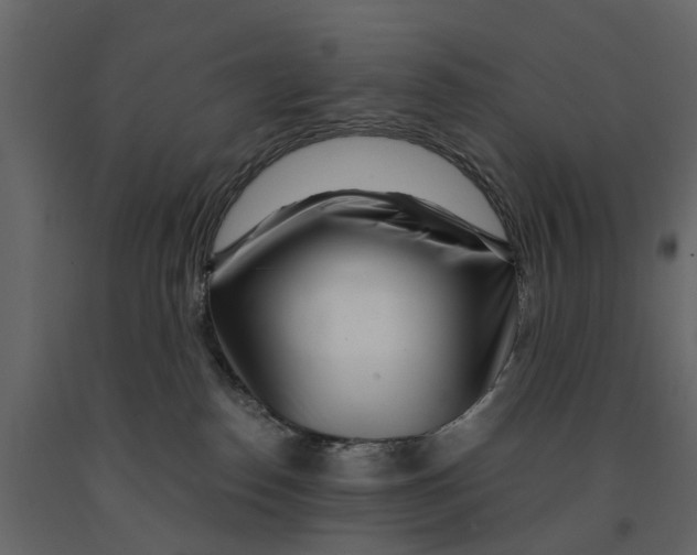 X0000090920186200708271032