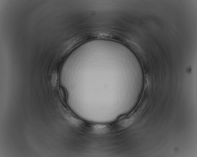 X0000090920189200708271032