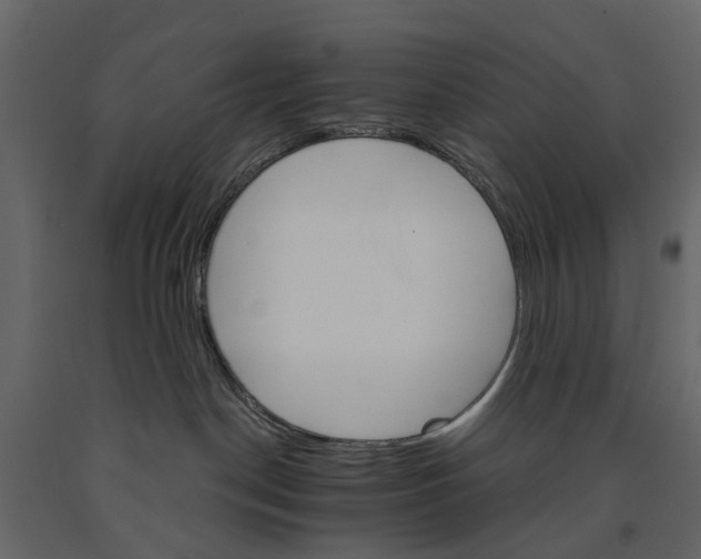 X0000090920190200708271032