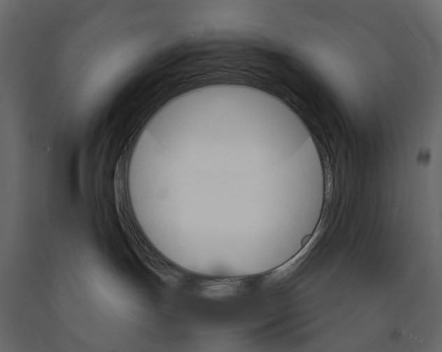 X0000090920191200708271032