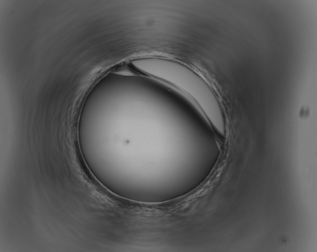 X0000090920193200708271031