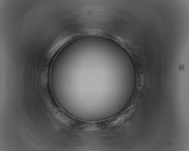 X0000090920194200708271031