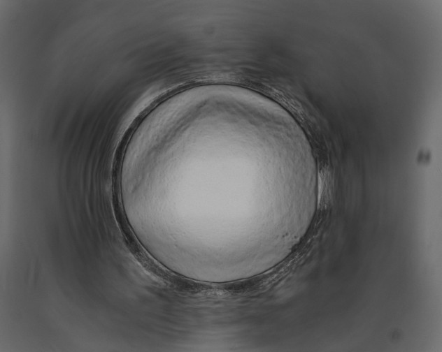 X0000090920195200708271031