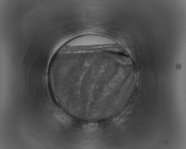 X0000090920196200708271031