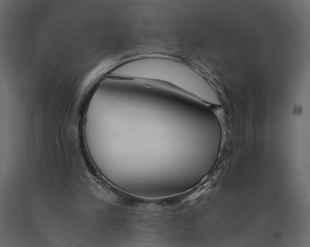 X0000090920197200708271031