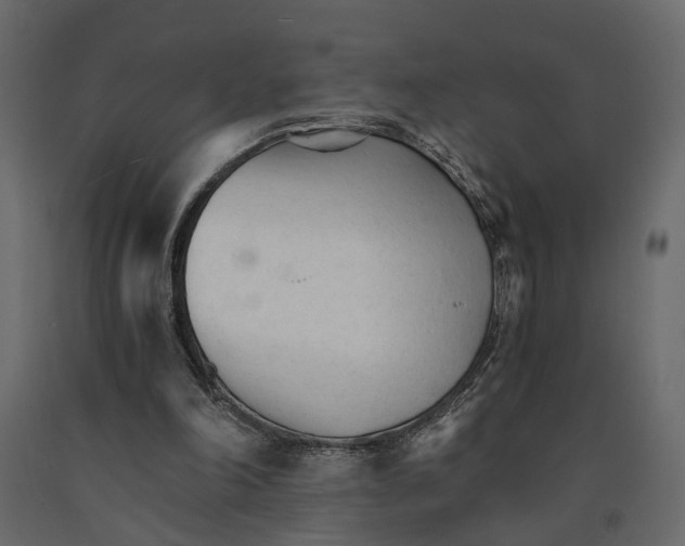 X0000090920198200708271031