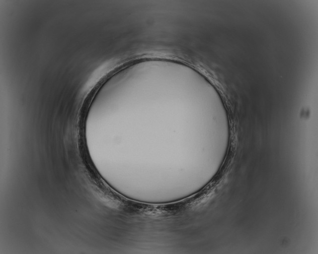 X0000090920199200708271031