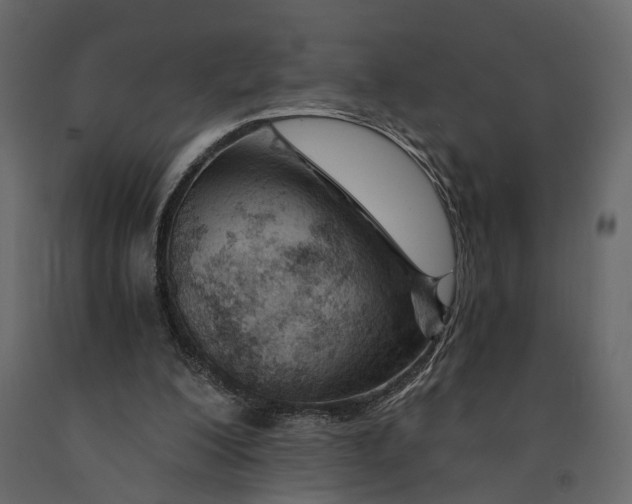 X0000090920200200708271031