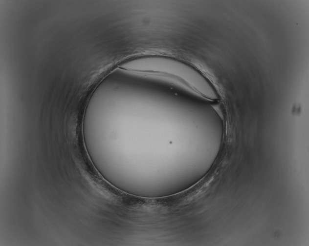 X0000090920201200708271031