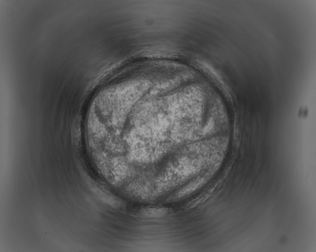 X0000090920202200708271031