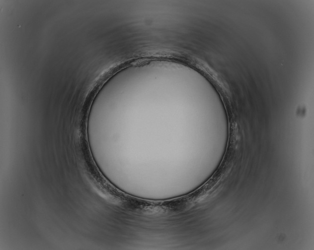 X0000090920203200708271031