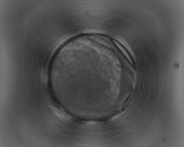 X0000090920204200708271031