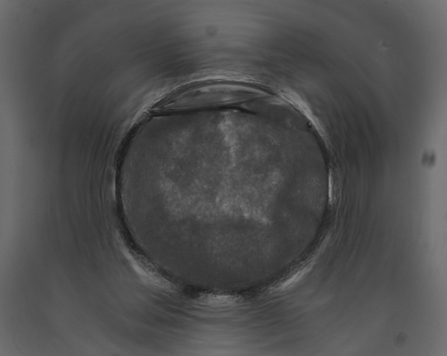 X0000090920205200708271031