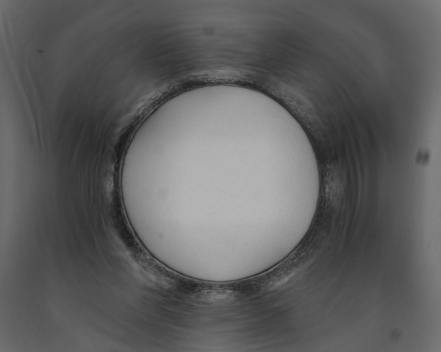 X0000090920206200708271031