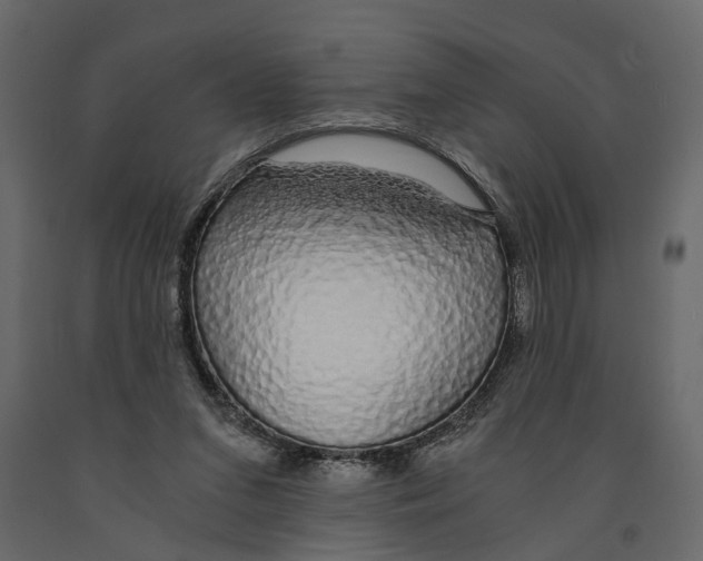 X0000090920207200708271031