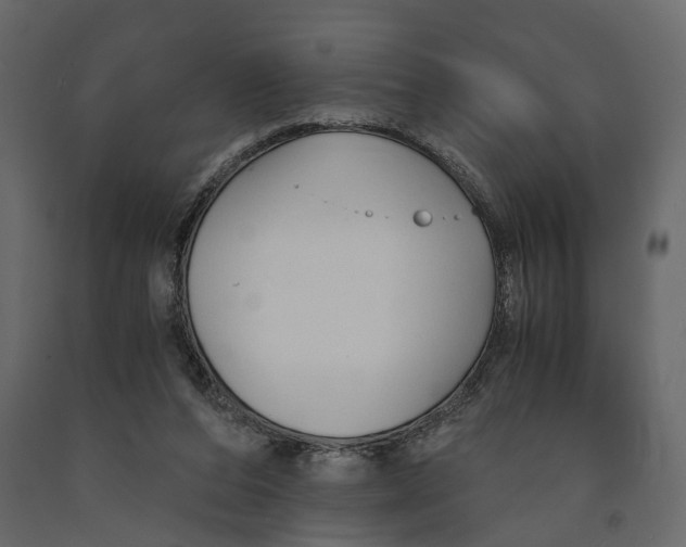 X0000090920208200708271031