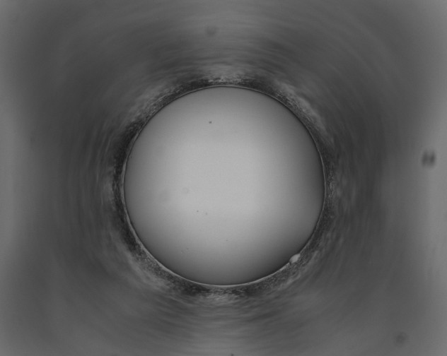 X0000090920209200708271031