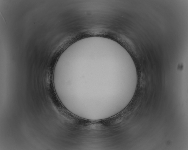 X0000090920210200708271031