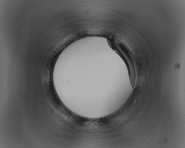 X0000090920211200708271031