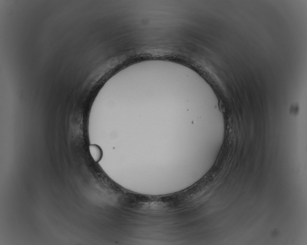 X0000090920212200708271031