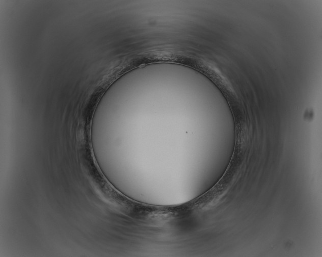 X0000090920213200708271031