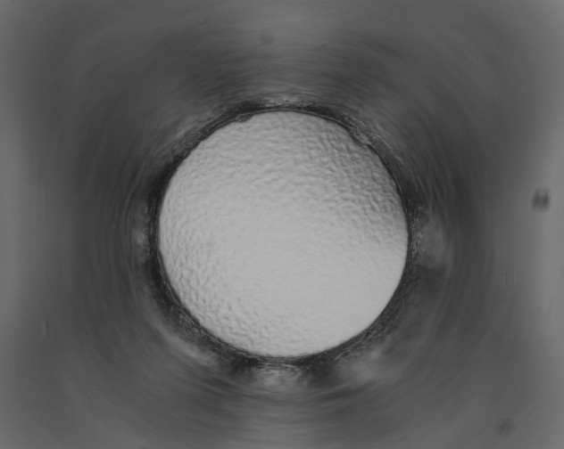 X0000090920215200708271031