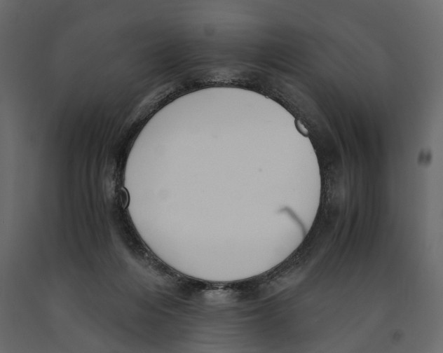 X0000090920216200708271031