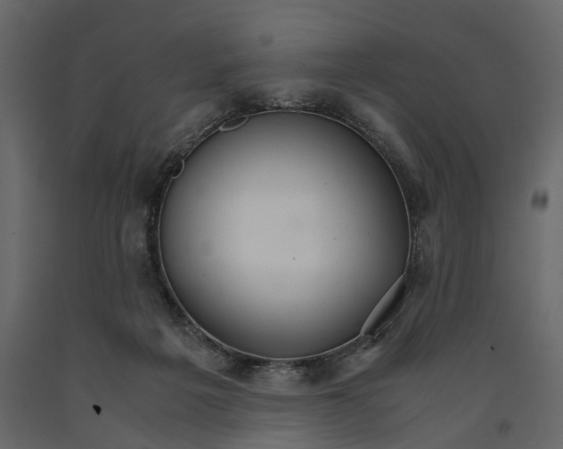 X0000090920217200708271031