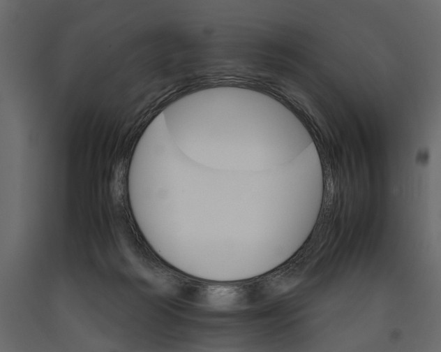 X0000090920218200708271031