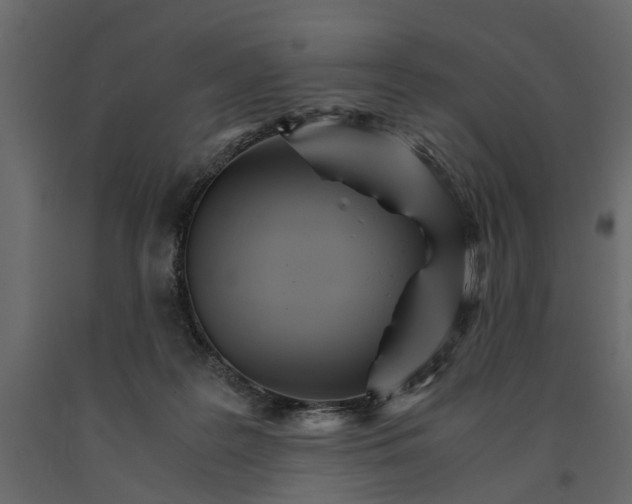 X0000090920219200708271031