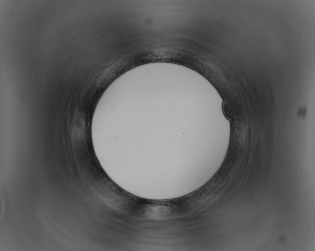 X0000090920220200708271031