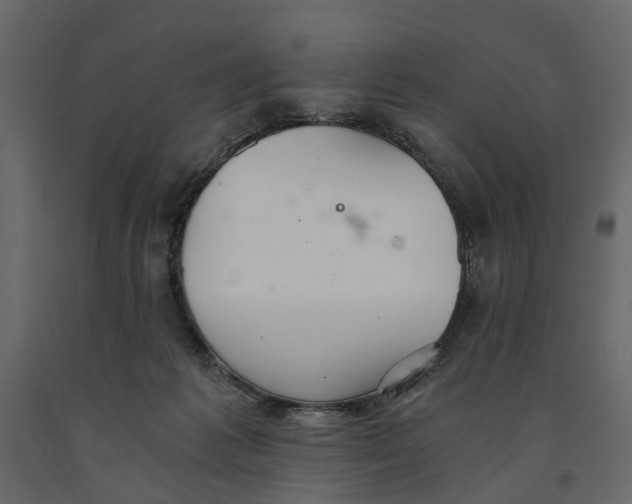 X0000090920221200708271031