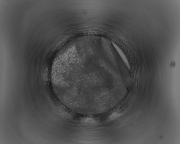 X0000090920224200708271031