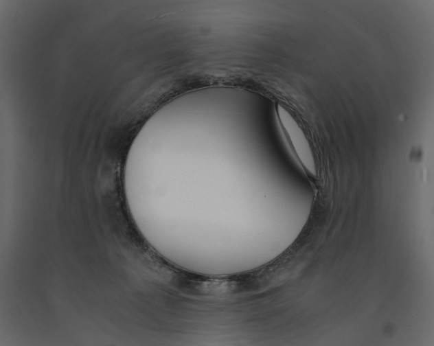 X0000090920225200708271031