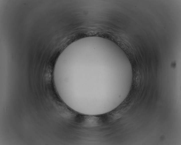 X0000090920226200708271031