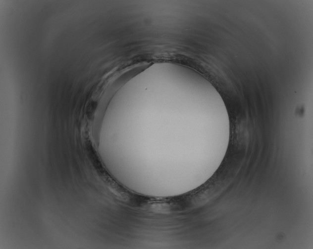 X0000090920228200708271031