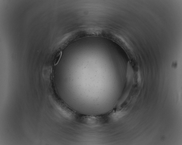 X0000090920229200708271031