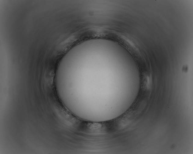 X0000090920230200708271031