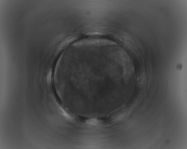 X0000090920231200708271031