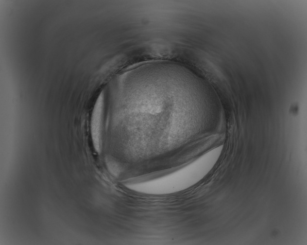 X0000090920233200708271030