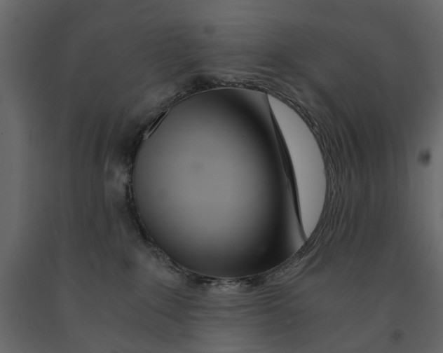 X0000090920235200708271030