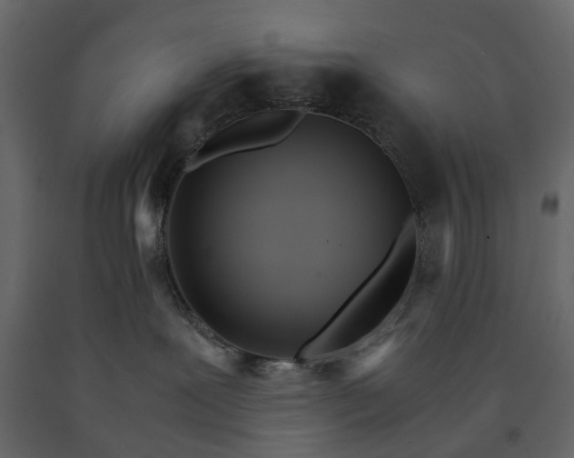 X0000090920239200708271030