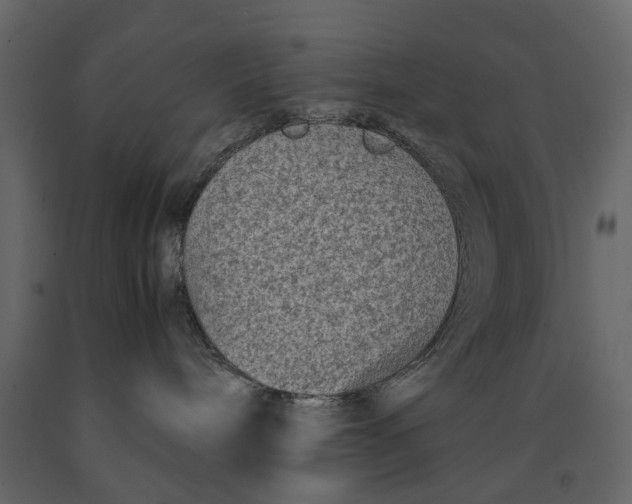 X0000090920240200708271030