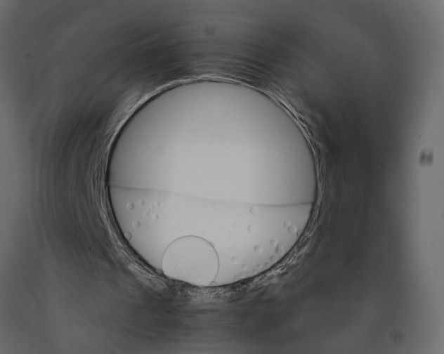 X0000090920241200708271030